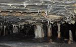 Krápníková výzdoba Holštejnské jeskyně